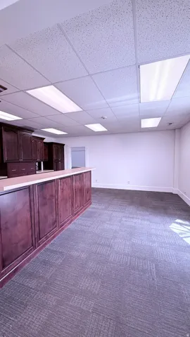 Cabinetry with wood-finish paneling, light-toned countertop, and patterned carpet flooring