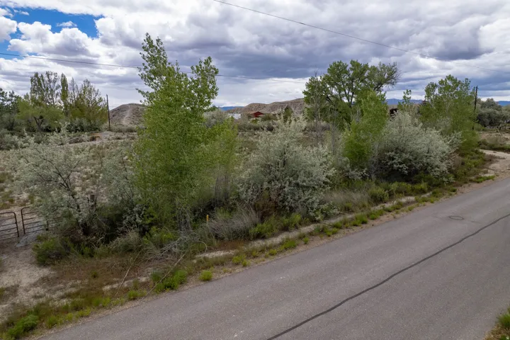 Paved road bordering an expanse of natural terrain featuring mature trees and shrubs
