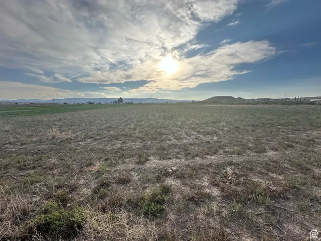 Expansive agricultural land featuring a clear sky and distant mountain range