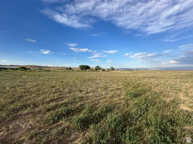 Expansive open land with varied ground cover and distant low-lying hills