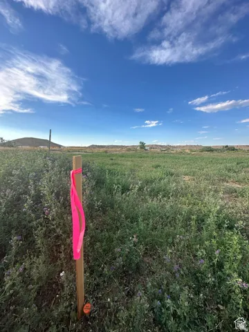 Expansive undeveloped land featuring natural ground cover and distant rolling hills under a clear sky