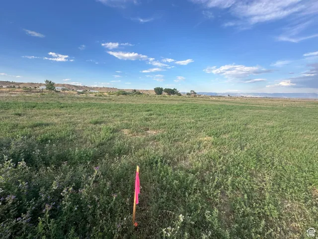 Expansive undeveloped land featuring a broad field of natural vegetation