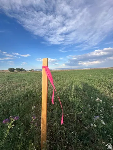 Expansive open land featuring diverse natural vegetation and a clear blue sky with cloud formations