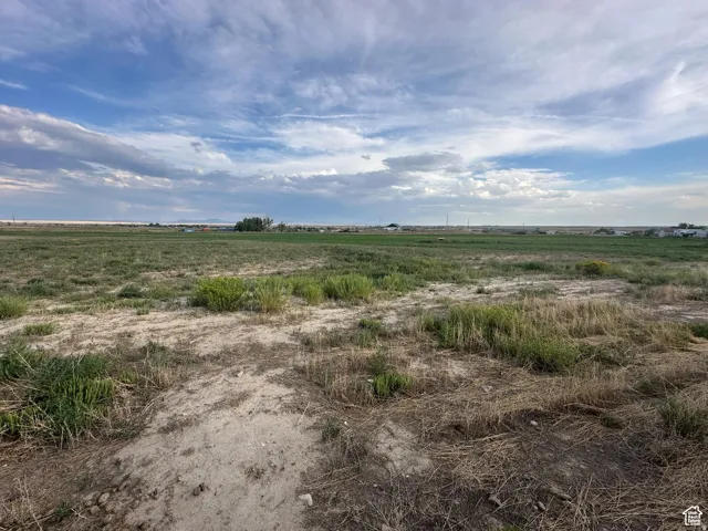 Expansive open land featuring a mix of green foliage and dry grasses under a vast sky with scattered clouds