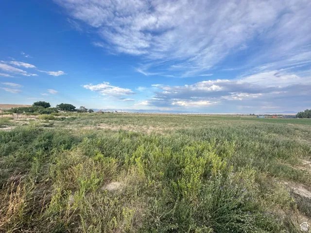 Expansive open field with natural vegetation, bordered by distant rolling hills