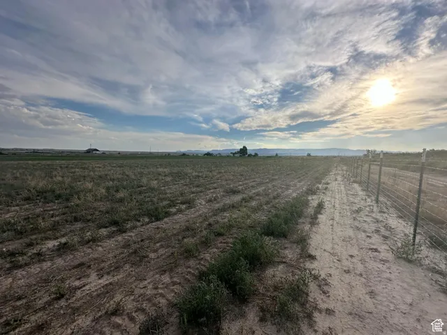 Expansive undeveloped land featuring a wire fence, cultivated ground, and distant structures under a broad sky