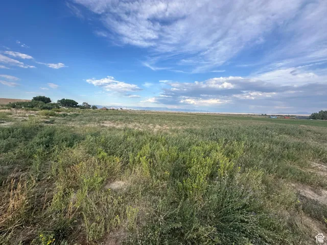 Expansive open field with natural vegetation, distant trees, and a clear horizon under a partly cloudy sky