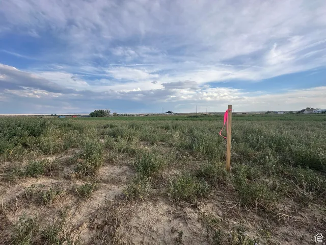 Expansive undeveloped lot with natural vegetation and a clear sky