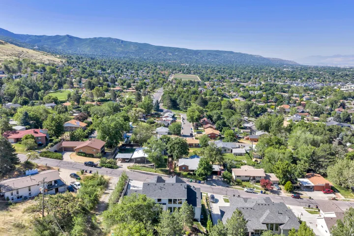Aerial perspective showcasing residential properties within a tree-lined community