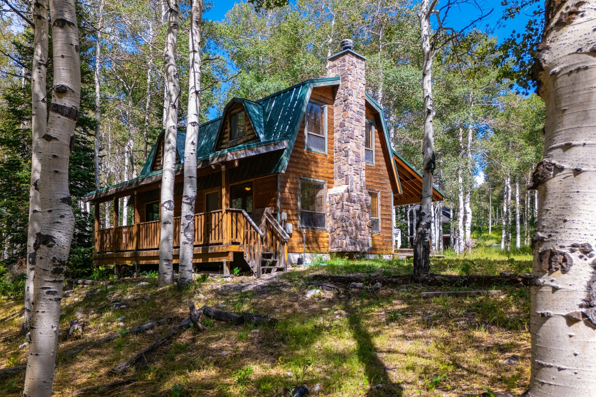 Rustic cabin-style residence featuring wood siding and a stone chimney