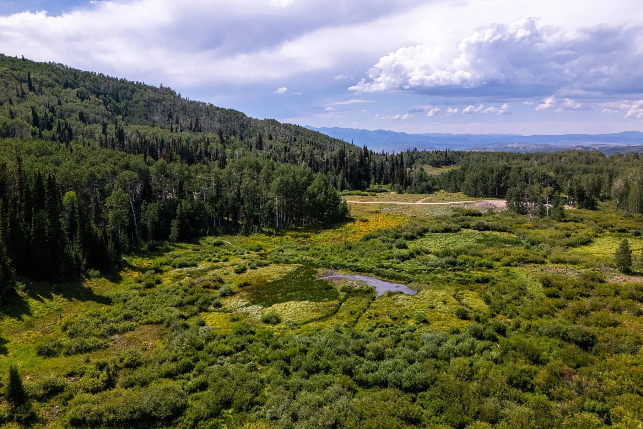 Expansive natural landscape featuring dense forestation, a large open meadow, and a small body of water
