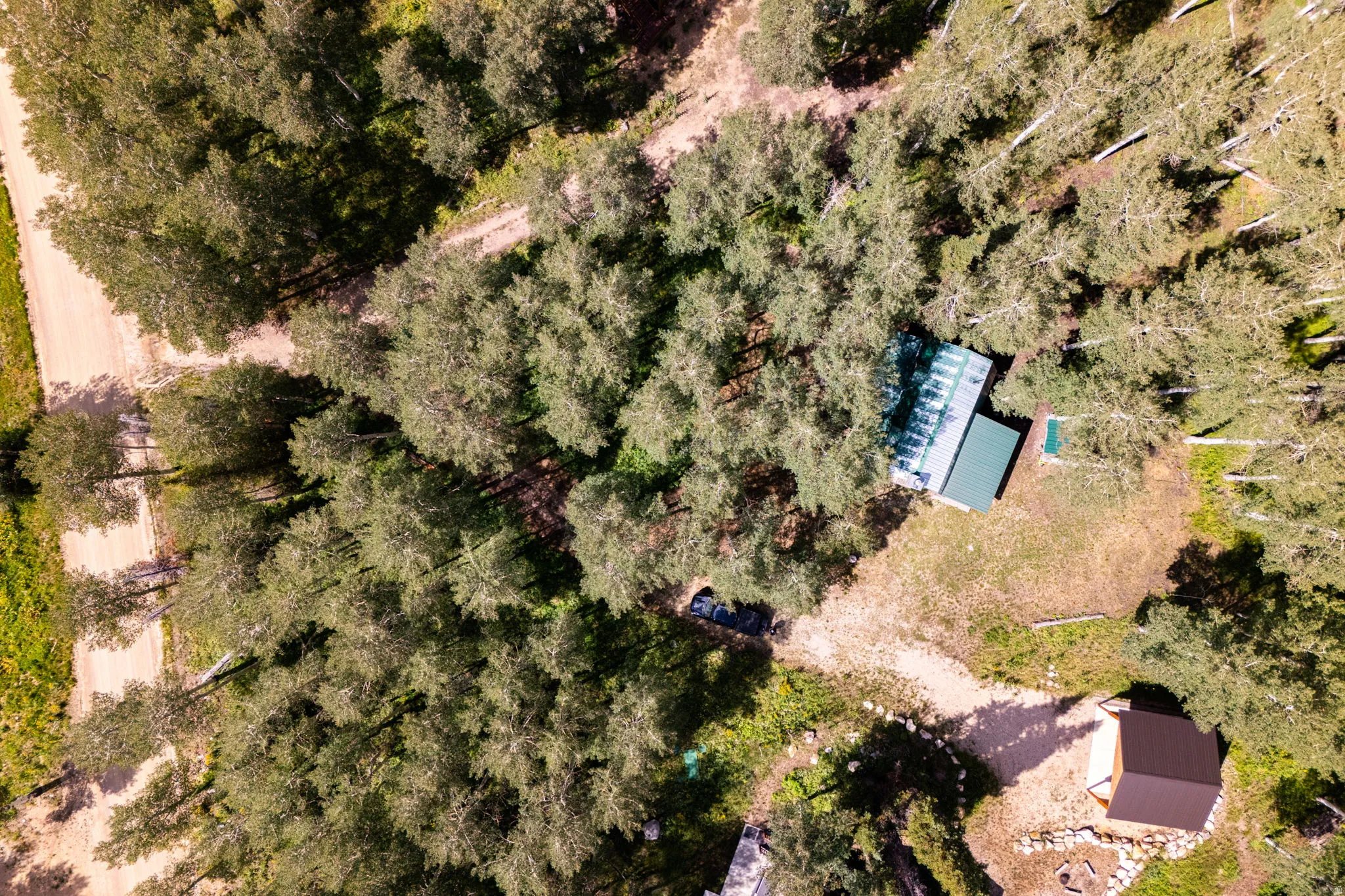 Wooded property featuring a main structure with a green metal roof, a secondary structure with a dark brown roof, and a network of unpaved paths