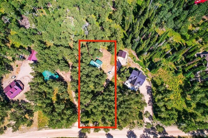 Wooded lot featuring mature evergreen trees and a partially cleared area