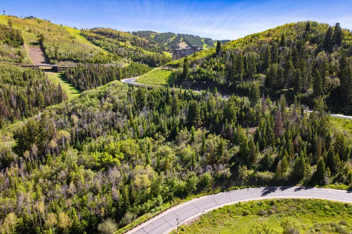 Expansive mountain terrain with dense evergreen and deciduous trees, winding roads, and distant structures