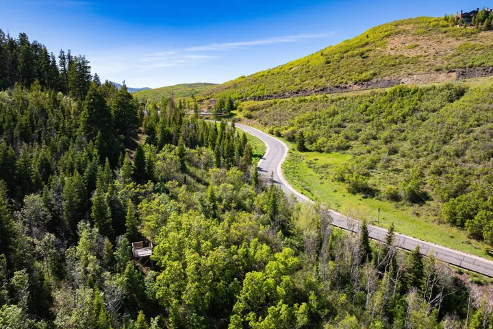 Winding paved road traversing a verdant, mountainous landscape with dense evergreen and deciduous trees