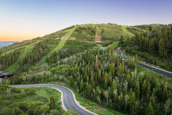 Winding paved road through dense evergreen forests