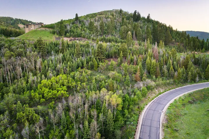 Mountainous landscape with a winding paved road, lush green foliage, and evergreen trees