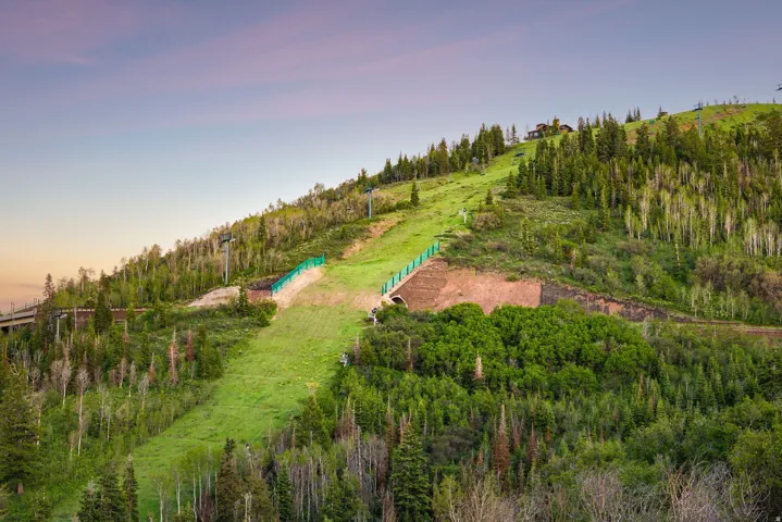 Mountain landscape featuring extensive evergreen and deciduous tree coverage