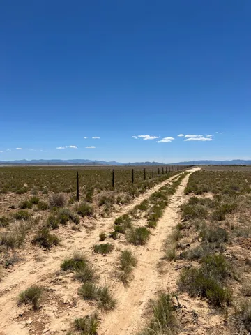 Expansive open land with a clear blue sky, a dirt track, and a continuous fence line