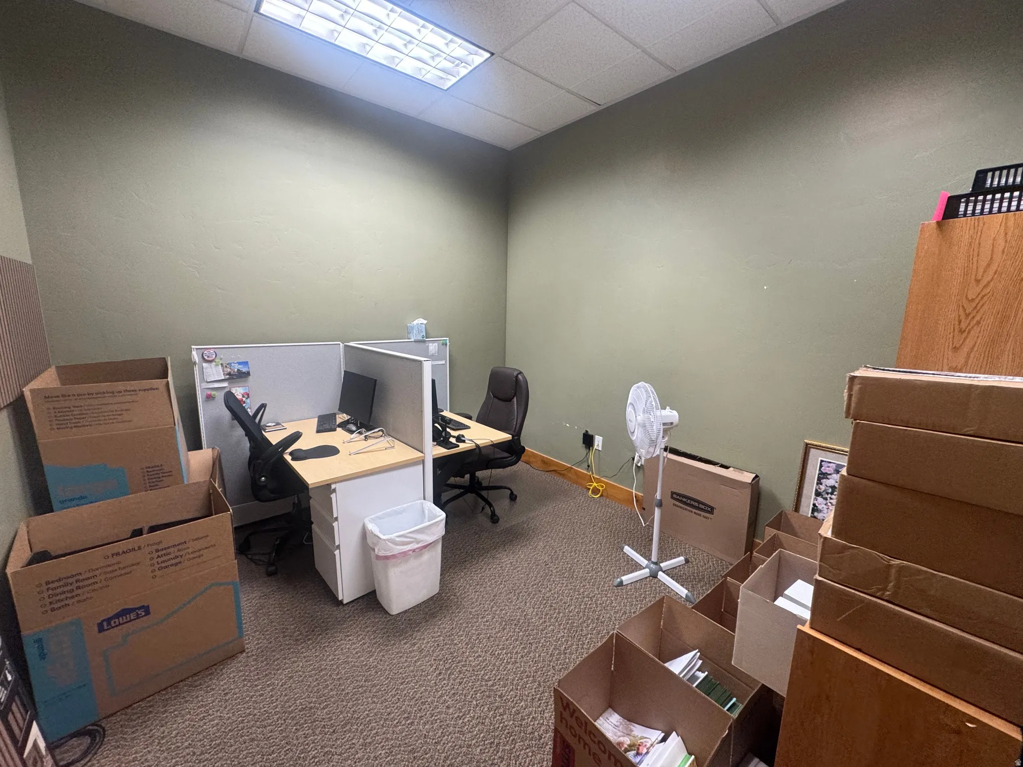 Neutral painted walls, commercial carpet flooring, and a drop ceiling with integrated fluorescent lighting