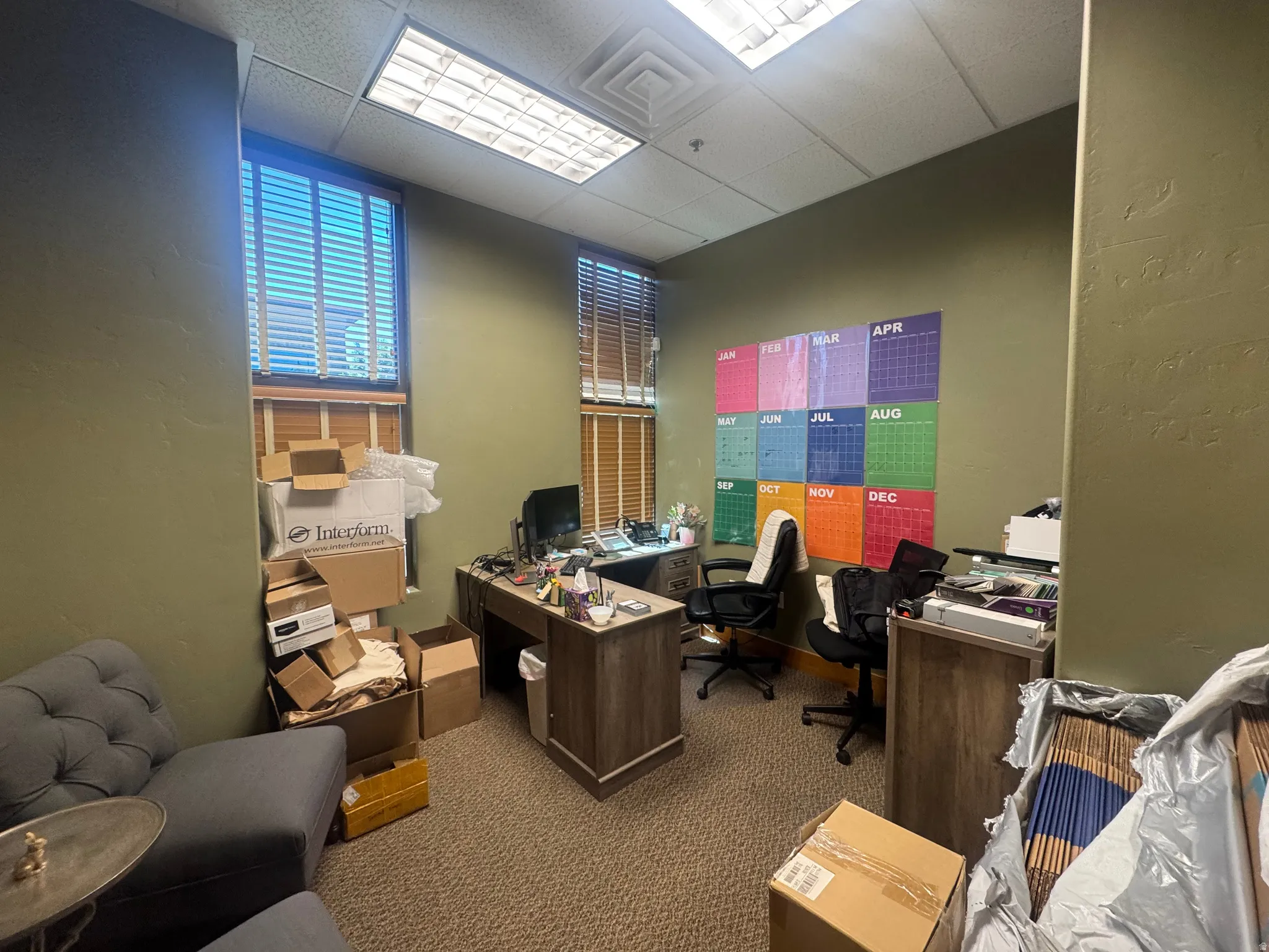 Office space featuring textured olive green walls, two windows with horizontal blinds, and carpeted flooring
