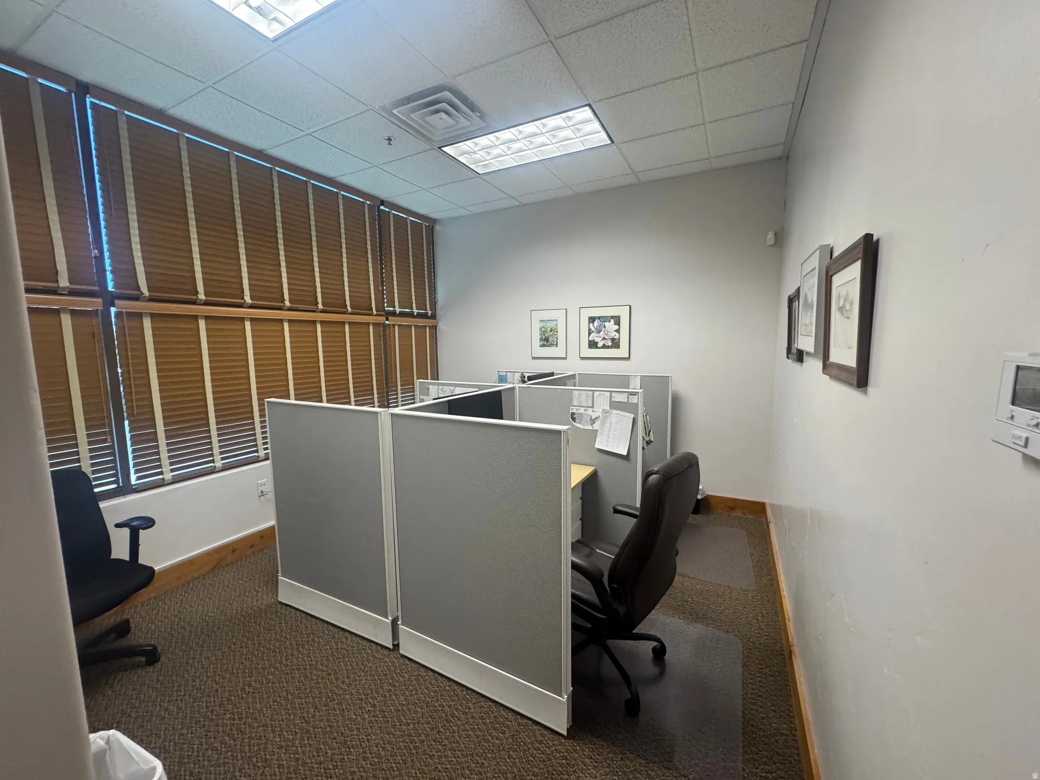 Office space with full-height windows featuring horizontal blinds, acoustic drop ceiling tiles, wall-to-wall carpeting, wood-finish baseboards, and built-in workstation cubicles