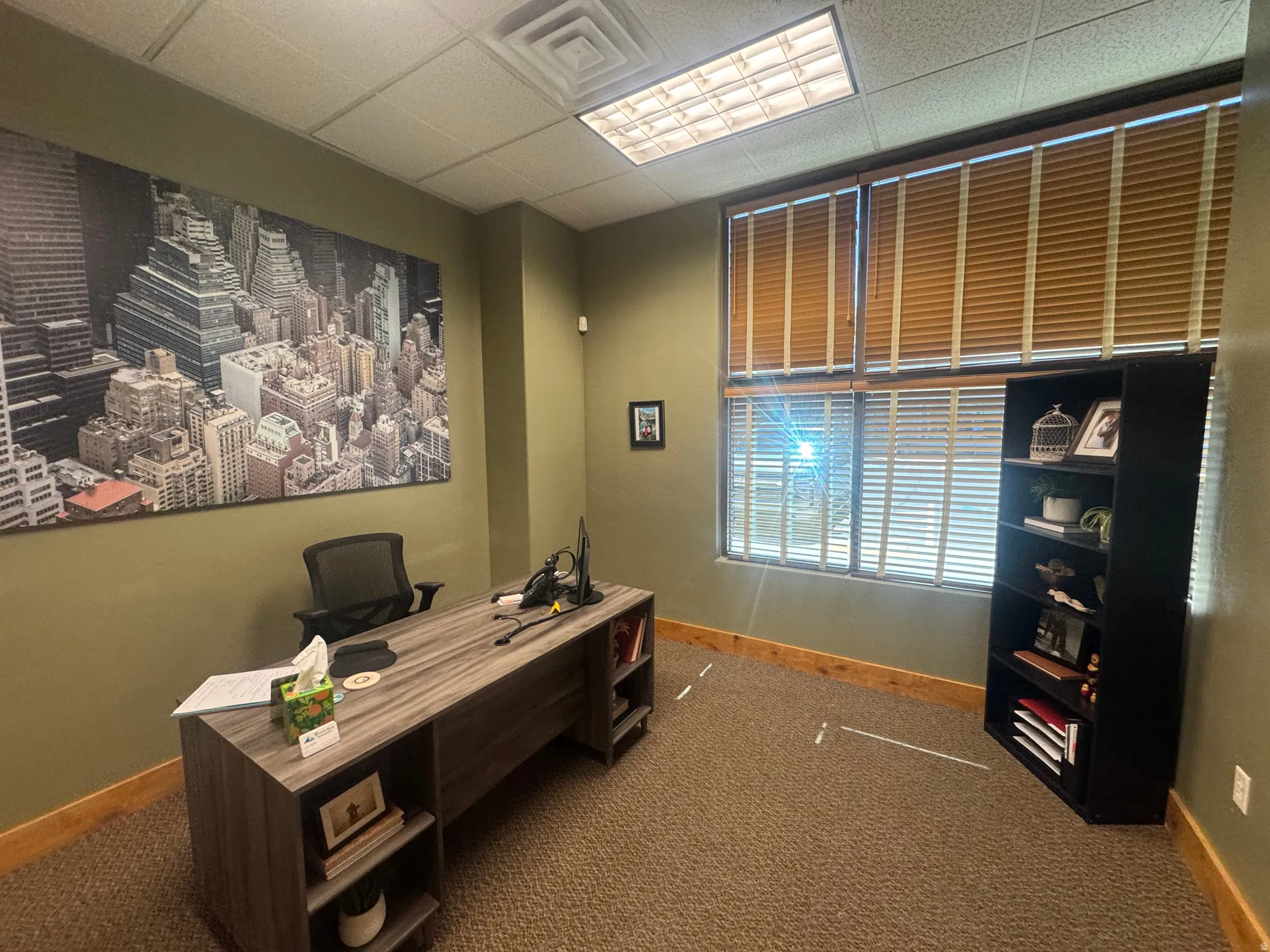 Office space featuring two large windows with blinds, carpet flooring, a drop ceiling, and wood baseboards