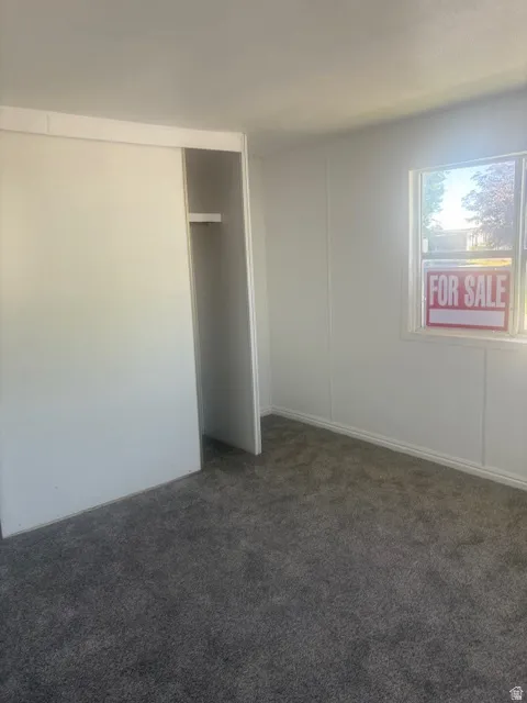 Carpeted room featuring a white sliding closet door and a single window
