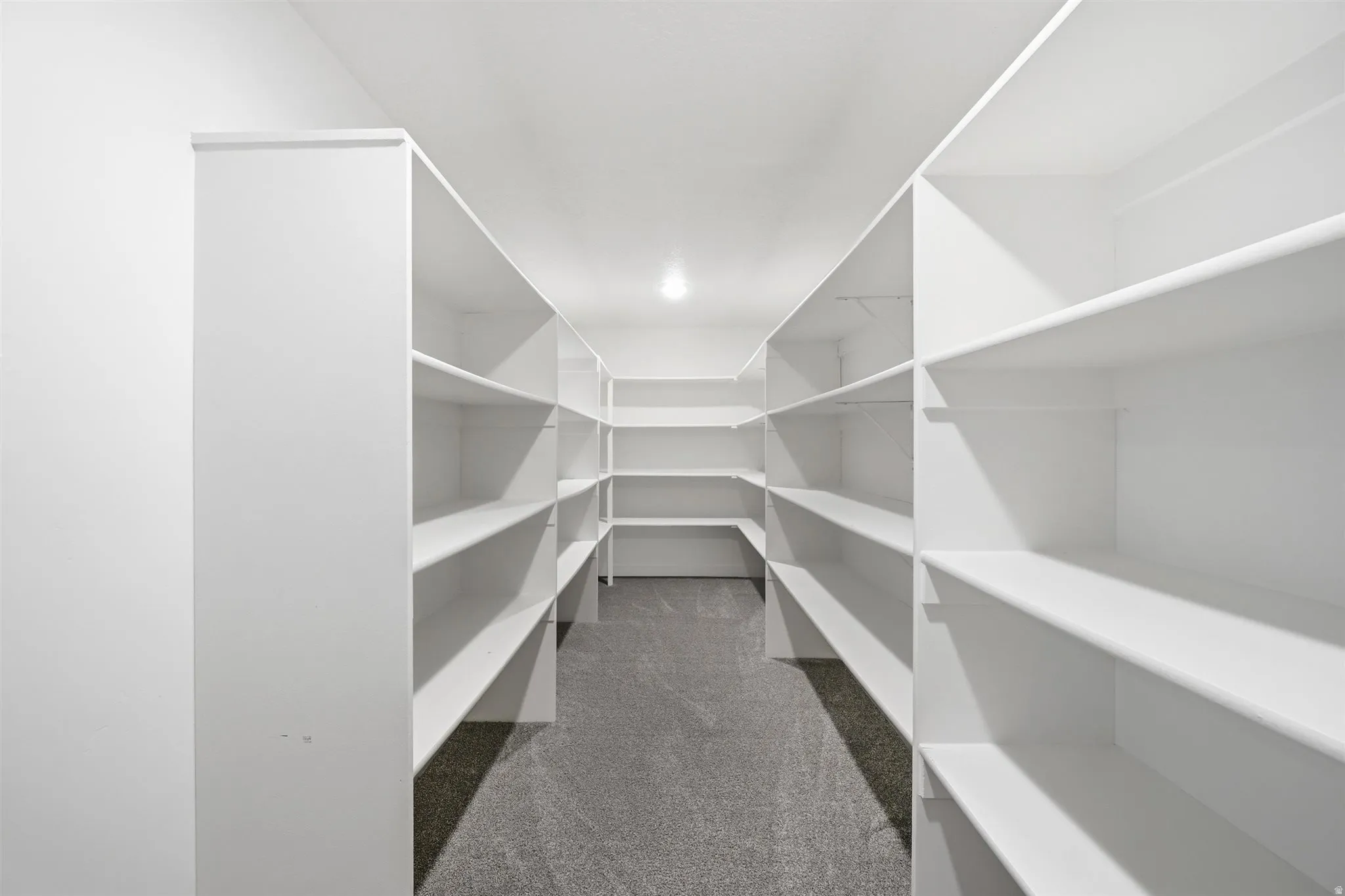 Expansive walk-in pantry featuring abundant white shelving, recessed ceiling lighting, and dark gray carpet flooring