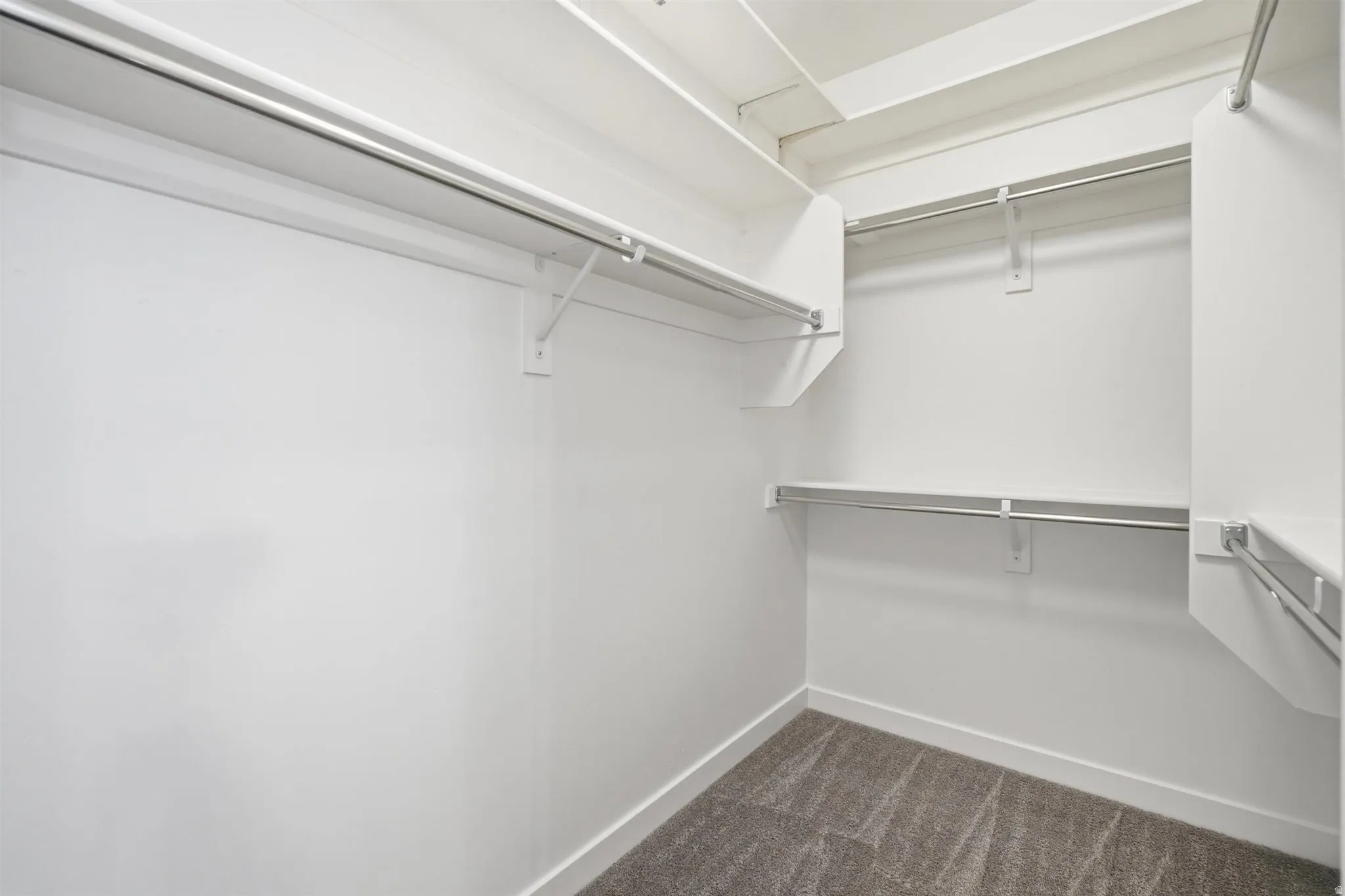 Walk-in closet featuring multiple clothing rods, integrated shelving, white walls, white baseboards, and grey carpet flooring