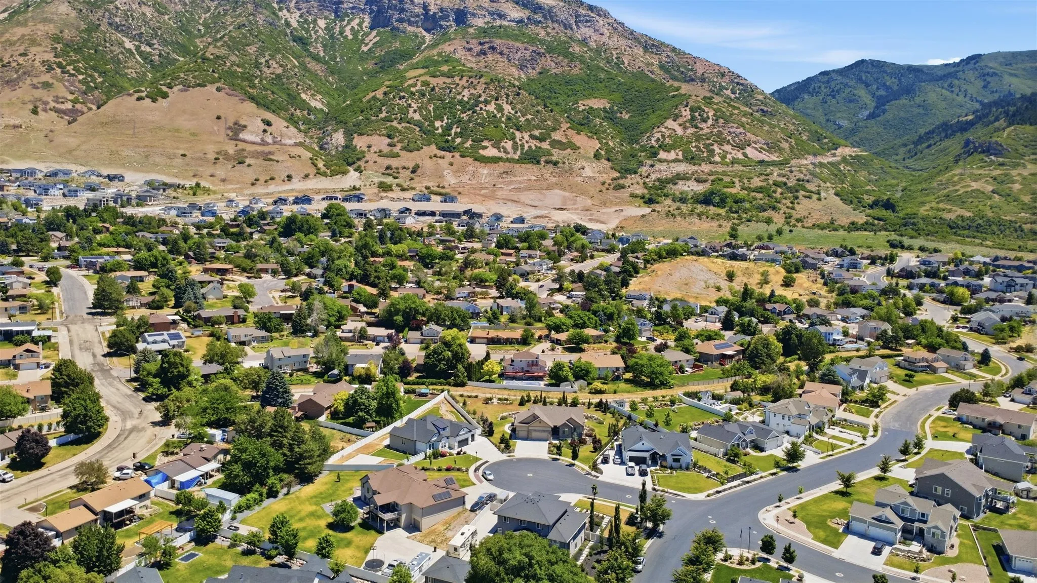 Residential community featuring varied architectural styles and mature landscaping