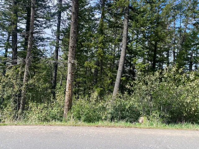 Build your custom mountain home surrounded by mature pines and breathtaking natural beauty in Summit Park.