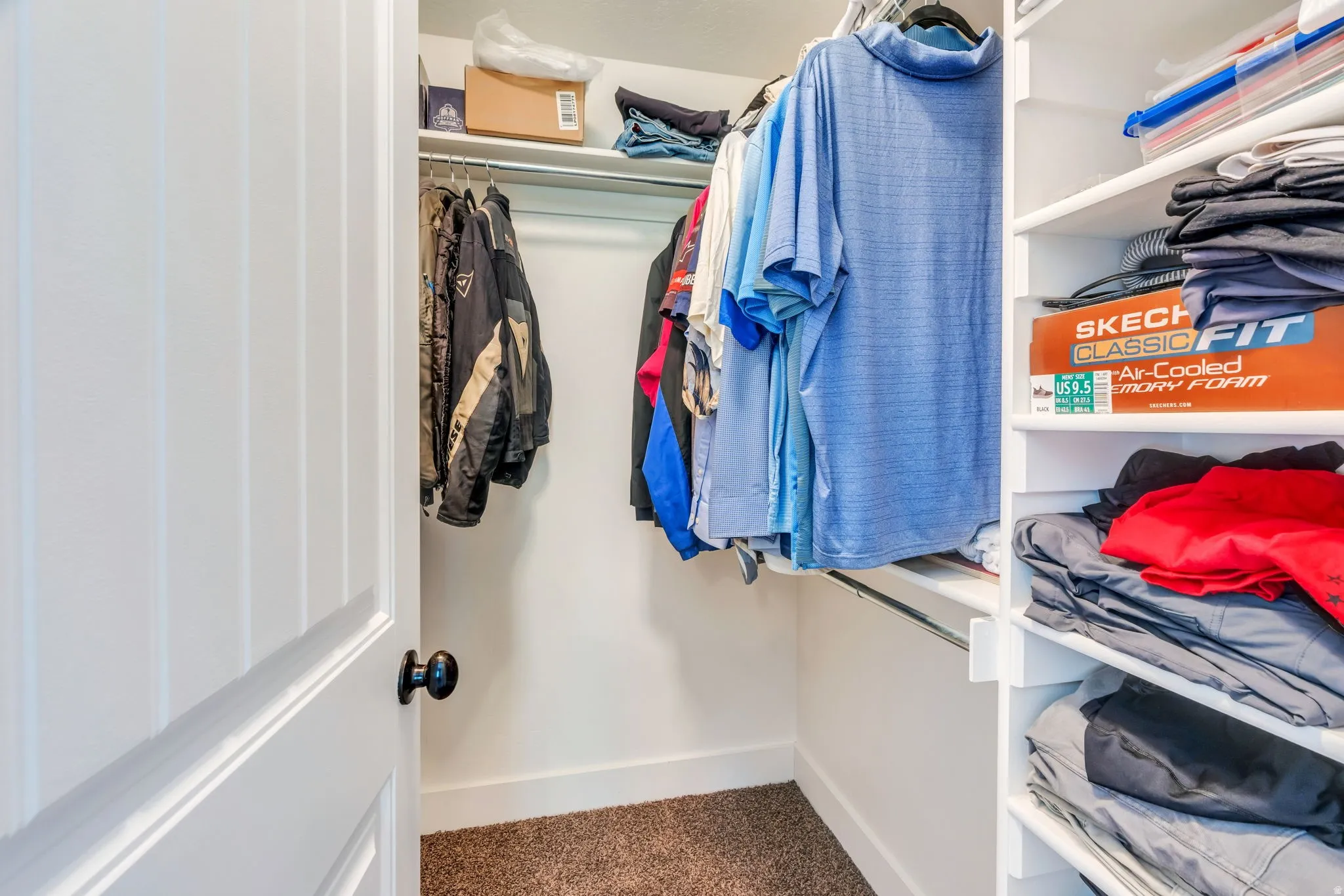 Walk-in closet featuring white built-in shelving, hanging rods, white walls, and carpet flooring