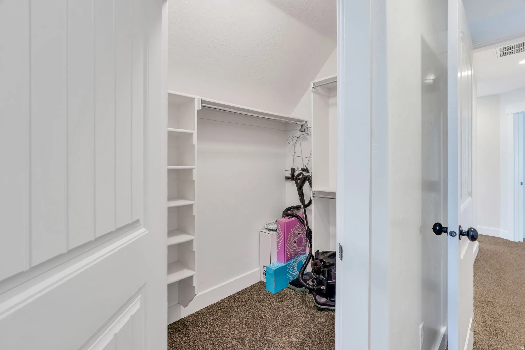 Walk-in closet featuring built-in shelving, hanging rod, and carpet flooring