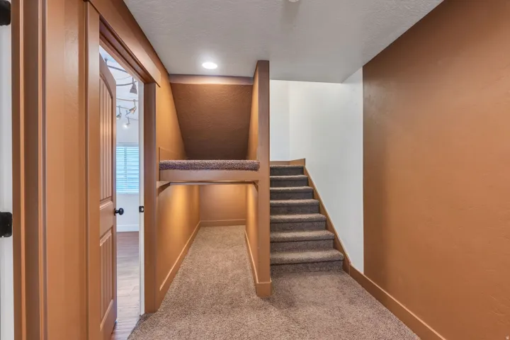 Carpeted stairs and floor leading to an under-stair alcove with integrated lighting