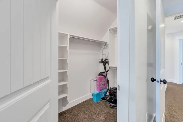 Walk-in closet featuring built-in shelving, hanging rod, and carpet flooring