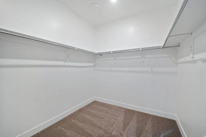 Walk-in closet featuring white walls, white baseboards, and brown carpet flooring