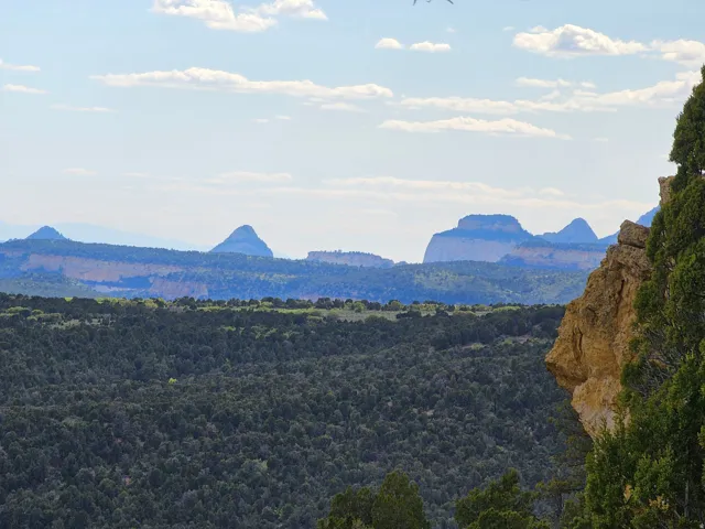 Expansive natural landscape featuring distant mesa formations and a foreground of dense evergreen foliage