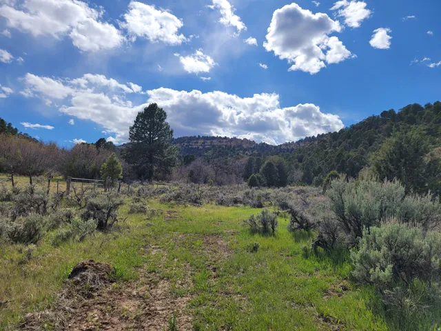 Expansive natural landscape featuring varied terrain, mature trees, and a clear sky with scattered clouds
