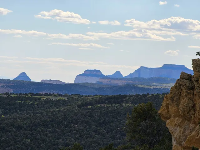 Expansive natural landscape featuring distant mesa formations and a foreground of dense, verdant foliage