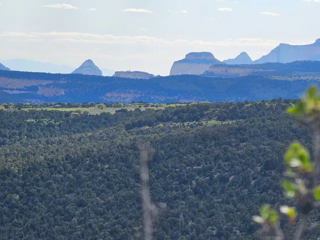 Expansive forested landscape with distant mesa formations under a clear sky