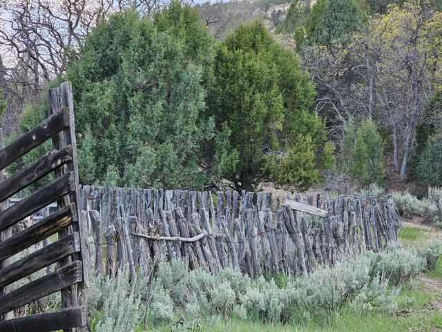 Rustic wood fencing defining a perimeter, complemented by lush green trees and varied shrubbery