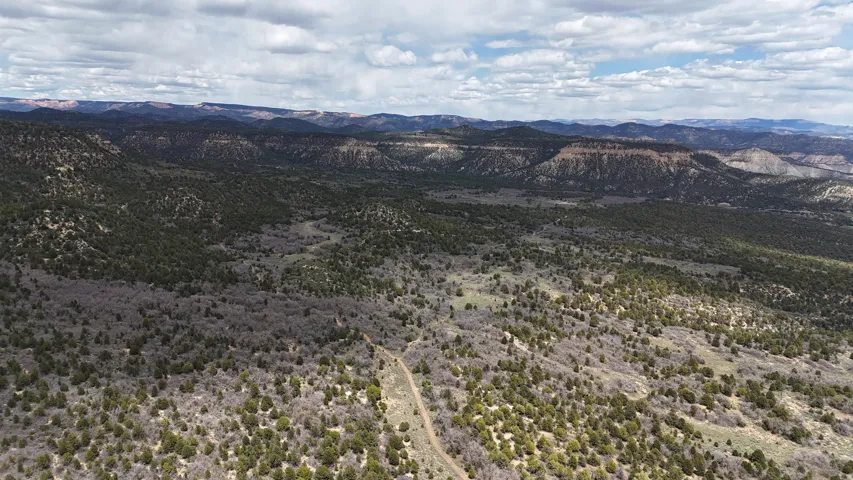 Expansive natural landscape featuring varied topography, distant mesas, and a winding unpaved road