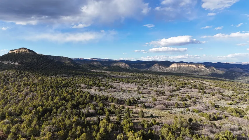 Expansive landscape featuring diverse tree coverage and distant mesa formations under a partly cloudy sky