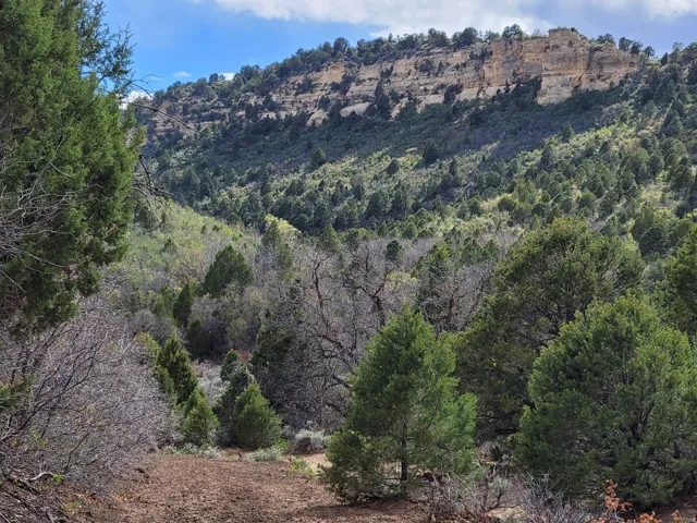 Expansive mountain landscape featuring a prominent rock formation, diverse evergreen tree coverage, and varied natural terrain