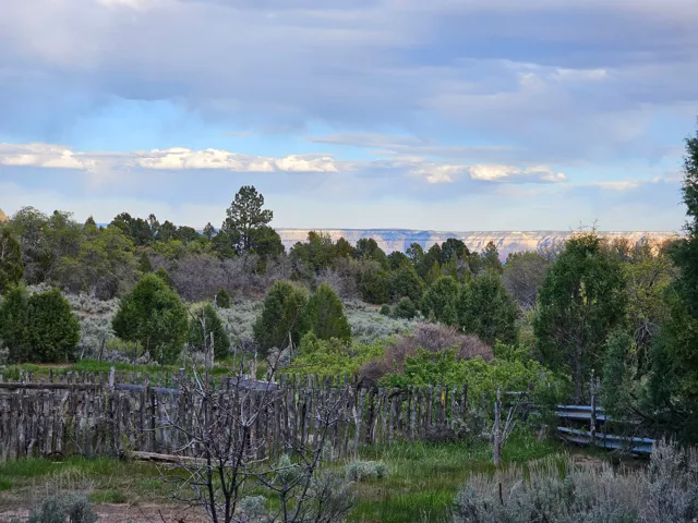 Expansive natural landscape featuring varied evergreen and deciduous trees, a rustic wooden fence, and distant canyon formations under a partly cloudy sky