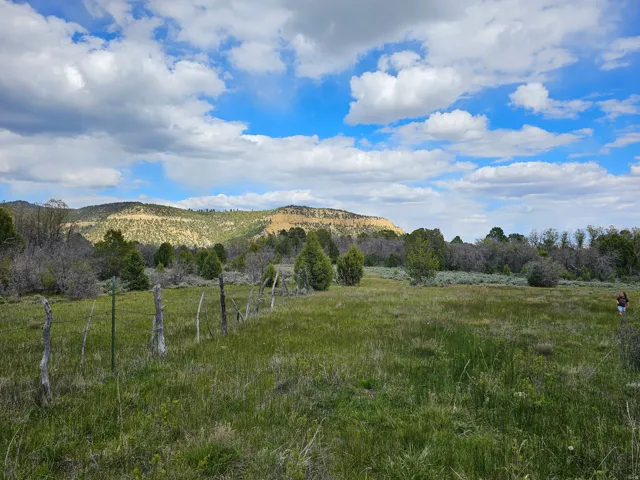 Expansive open field featuring natural grasses and mature shrubbery