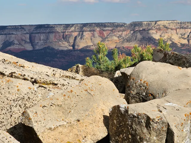Rough-hewn rock formations with scattered green foliage