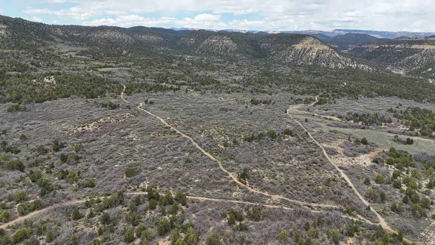 Expansive undeveloped land featuring natural terrain with scattered trees and multiple visible dirt paths