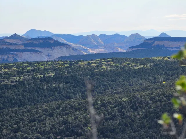 Expansive treed landscape with distant mountain ranges